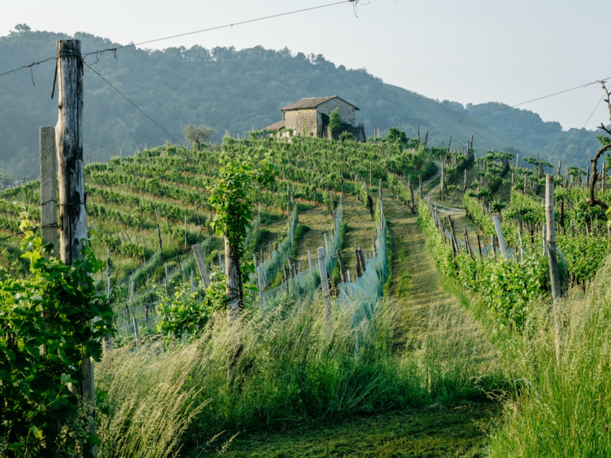 Le nostre colline - Valdobbiadene 5