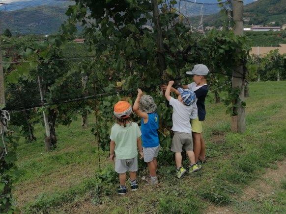 Caccia al tesoro