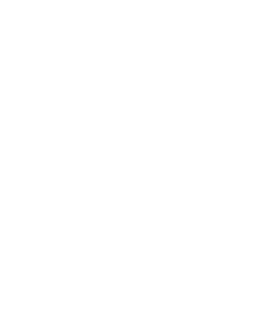 Impianto viti - Asolo