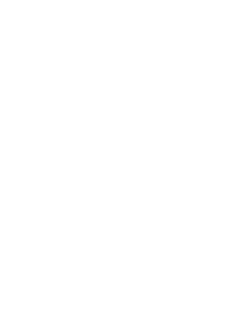 Impianto viti - Valdobbiadene